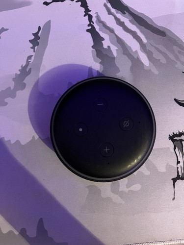 Amazon echo dot black - amazon,
