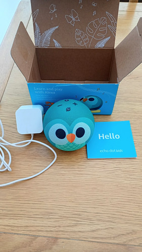 Amazon echo dot - echo, owl